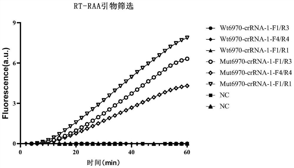 Method for detecting SARS-CoV-2 69-70del site based on RAA-CRISPR