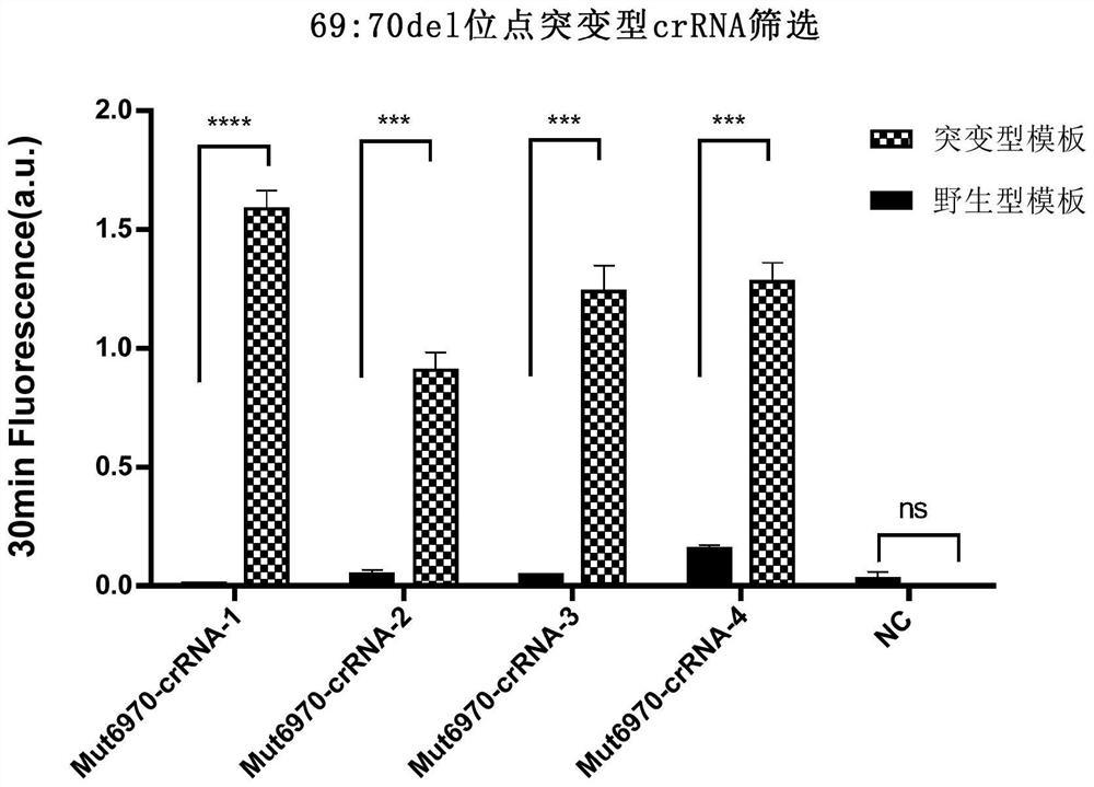 Method for detecting SARS-CoV-2 69-70del site based on RAA-CRISPR