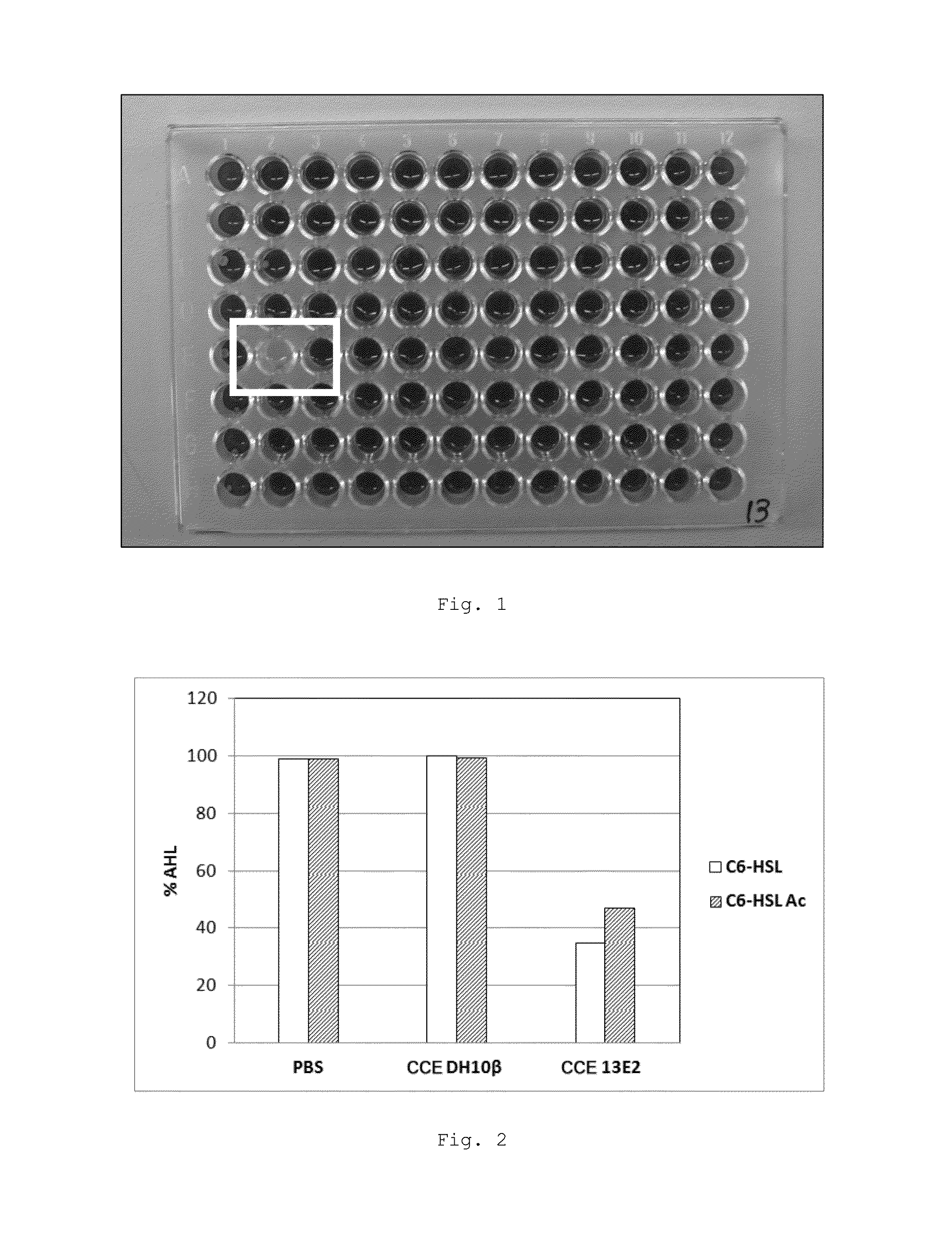 Peptide with quorum-sensing inhibitory activity, polynucleotide that encodes said peptide, and the uses thereof