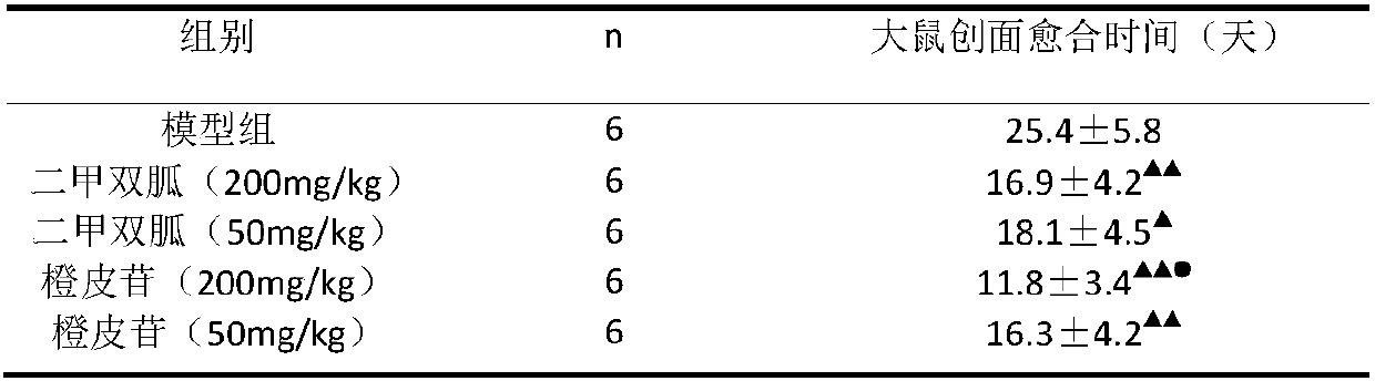 Application of hesperidin to preparation of medicine for treating diabetic gangrene