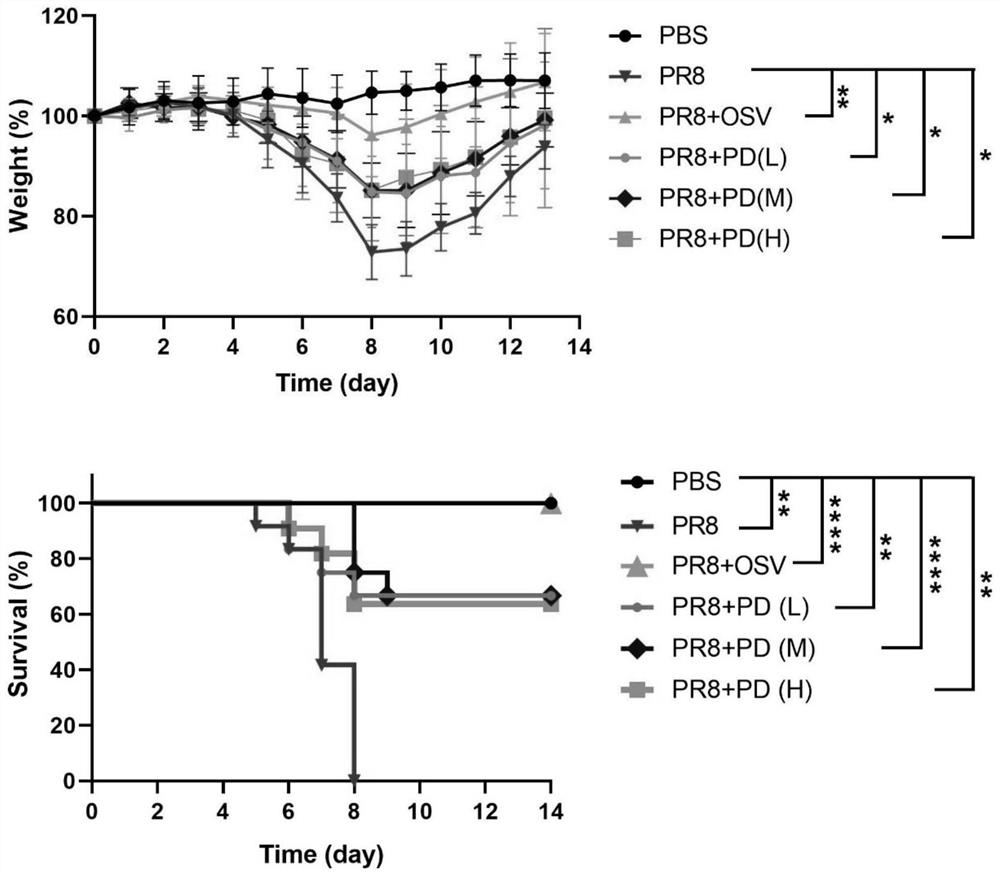 Application of platycodin D in treatment of acute lung injury caused by viral pneumonia