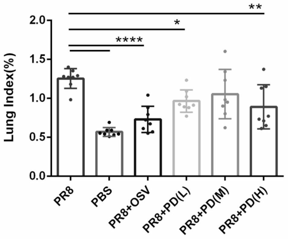 Application of platycodin D in treatment of acute lung injury caused by viral pneumonia