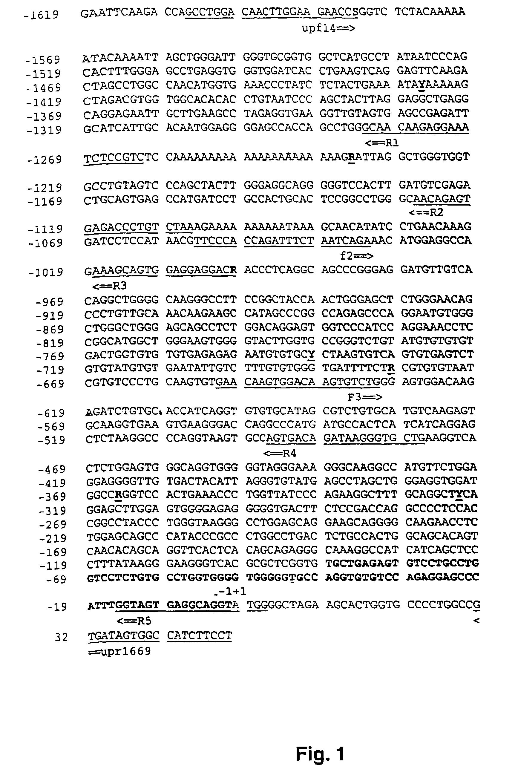 Polymorphisms in the human CYP2D6 gene promoter region and their use in diagnostic and therapeutic applications