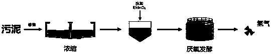 Method for producing hydrogen gas through reinforcing anaerobic fermentation of surplus sludge