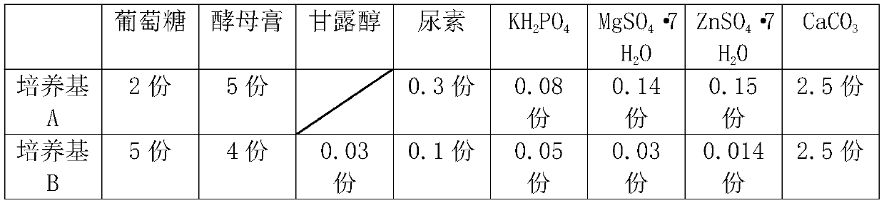 Saline-alkali soil repairing microbial inoculum and preparation method thereof