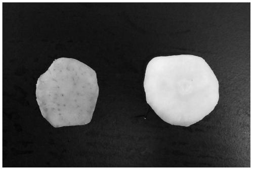 A plant source fresh-cut water chestnut yellowing inhibitor and its preparation and application method