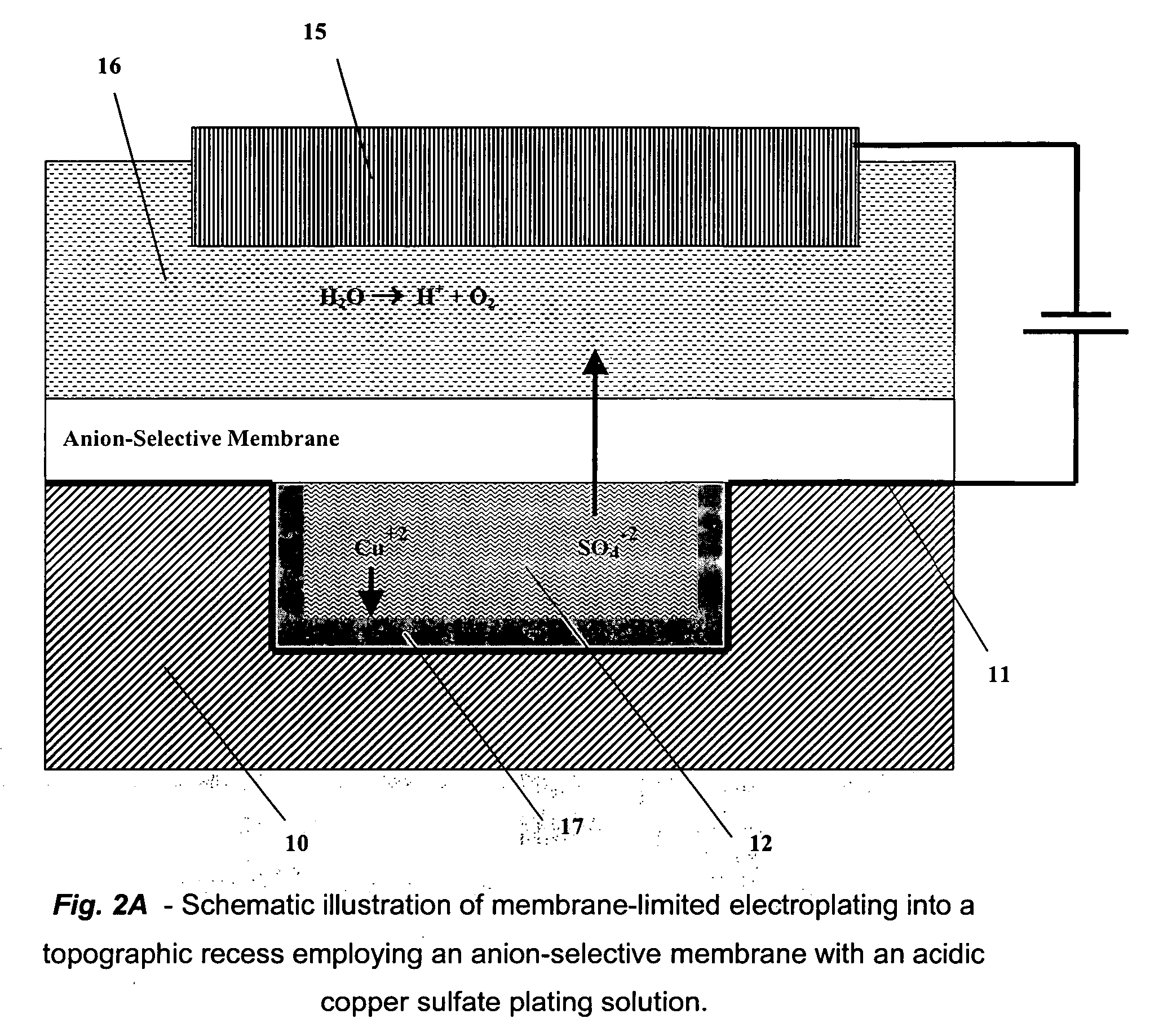 Membrane-limited selective electroplating of a conductive surface