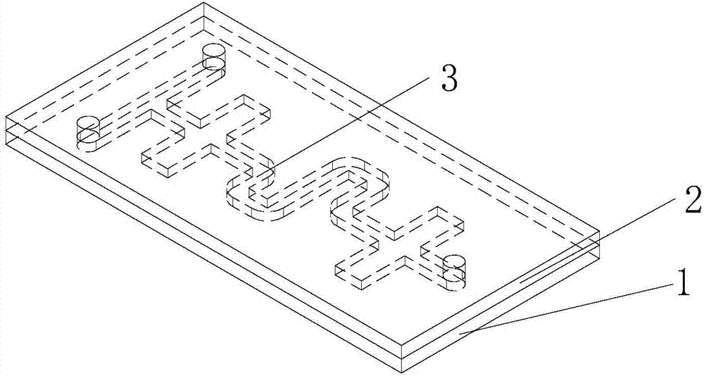 Microfluidic MEMS chip packaging method