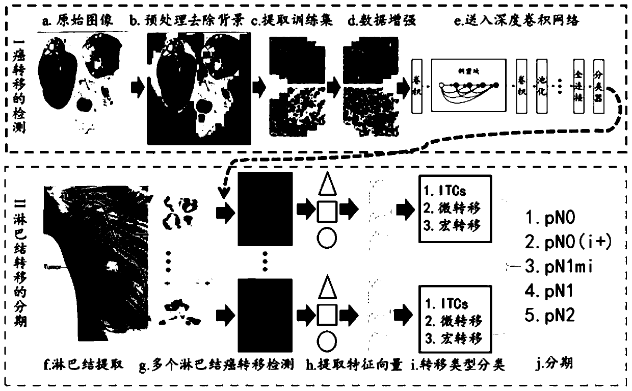 Automatic staging system based on mammary gland lymph node panoramic image calculation