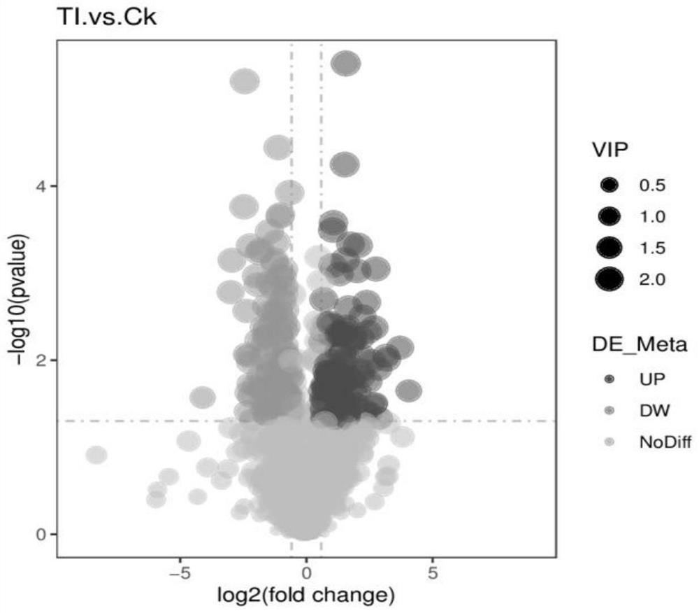 Method forminingindustrial cannabis sativa hormone regulation response genes based on metabonomics technology