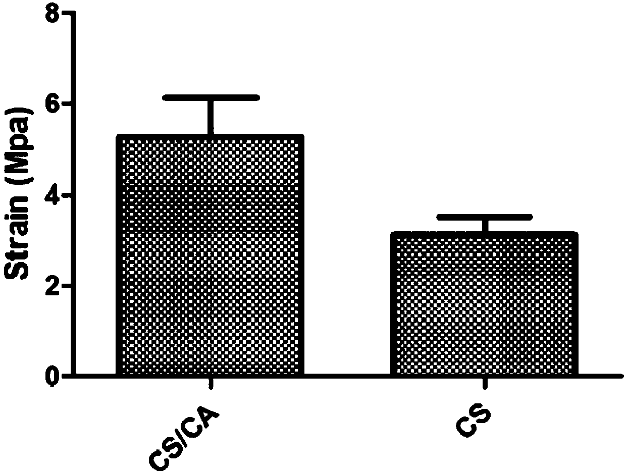 Method for building vascularized tissue engineering periosteum