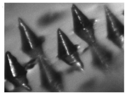 Dopamine gel based micro-needle array and preparation and application thereof