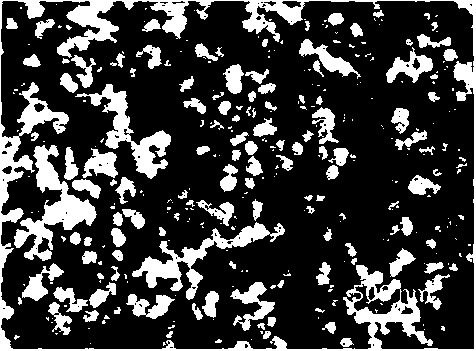 Tungsten carbide/platinum composite material with core-shell structure as well as preparation and application thereof