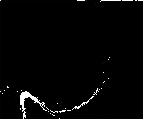 Tungsten carbide/platinum composite material with core-shell structure as well as preparation and application thereof