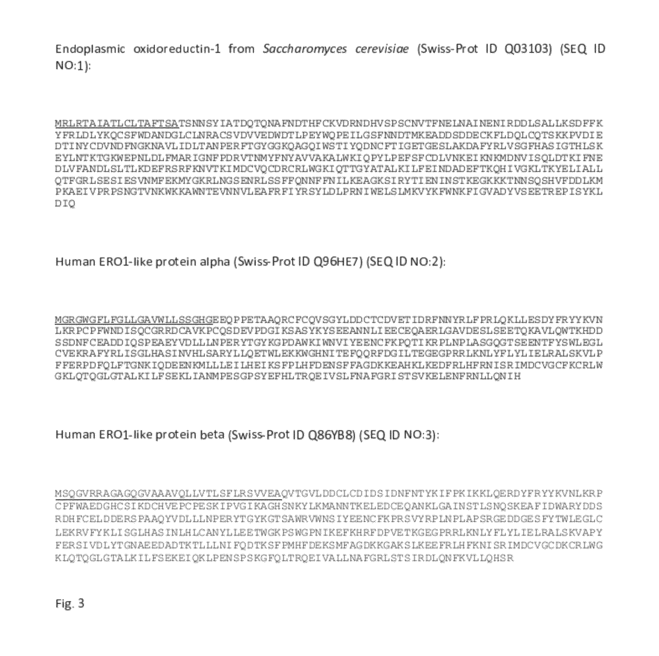 Method for Producing Natively Folded Proteins in a Prokaryotic Host