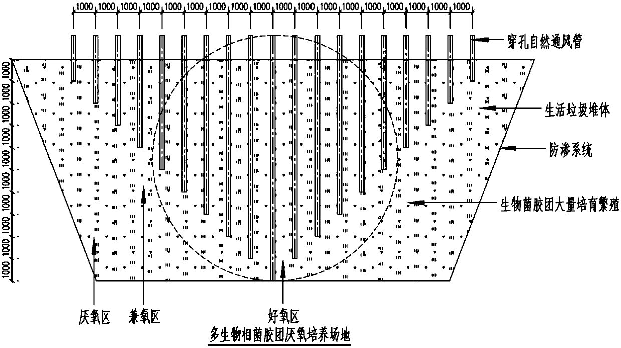 A method for cultivating multibiophase microbial micelle for wastewater treatment