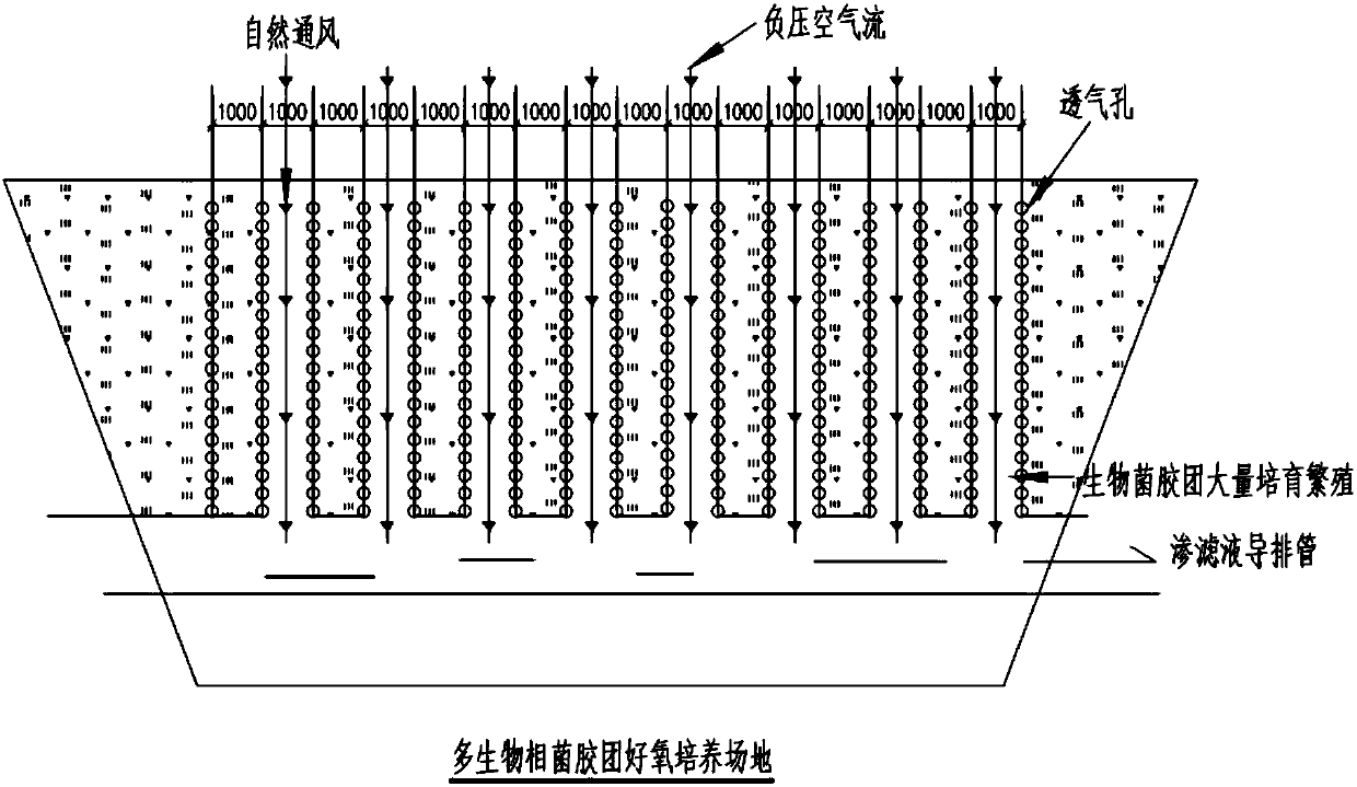 A method for cultivating multibiophase microbial micelle for wastewater treatment