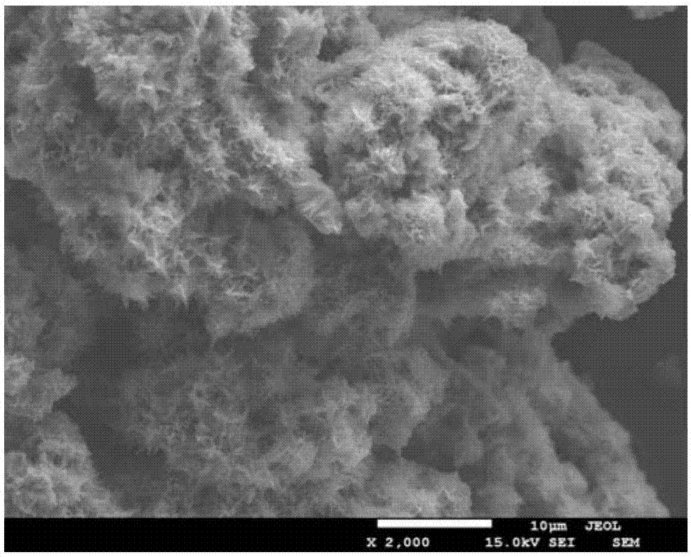 Vanadium pentoxide preparation method