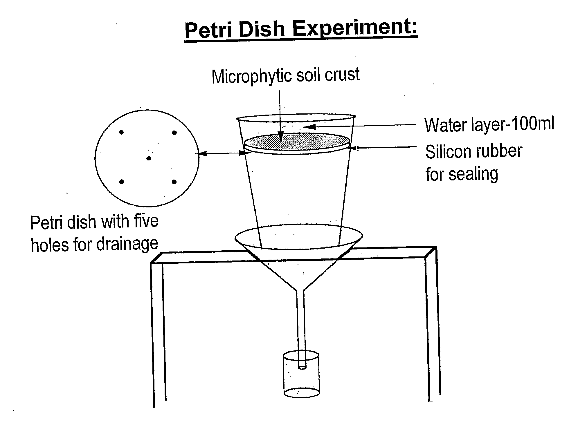 Method for enhancing the soil crust formation