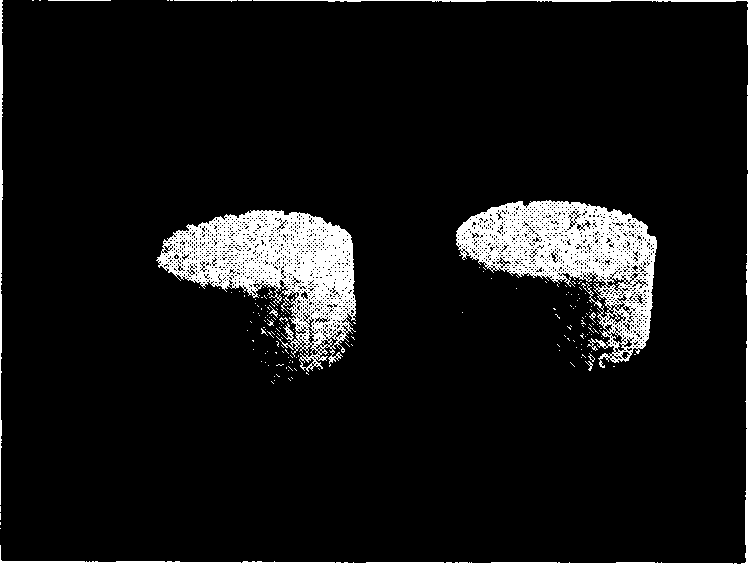 Degradable porous glass rack having bioactivity and preparation method