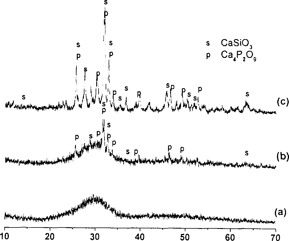 Degradable porous glass rack having bioactivity and preparation method