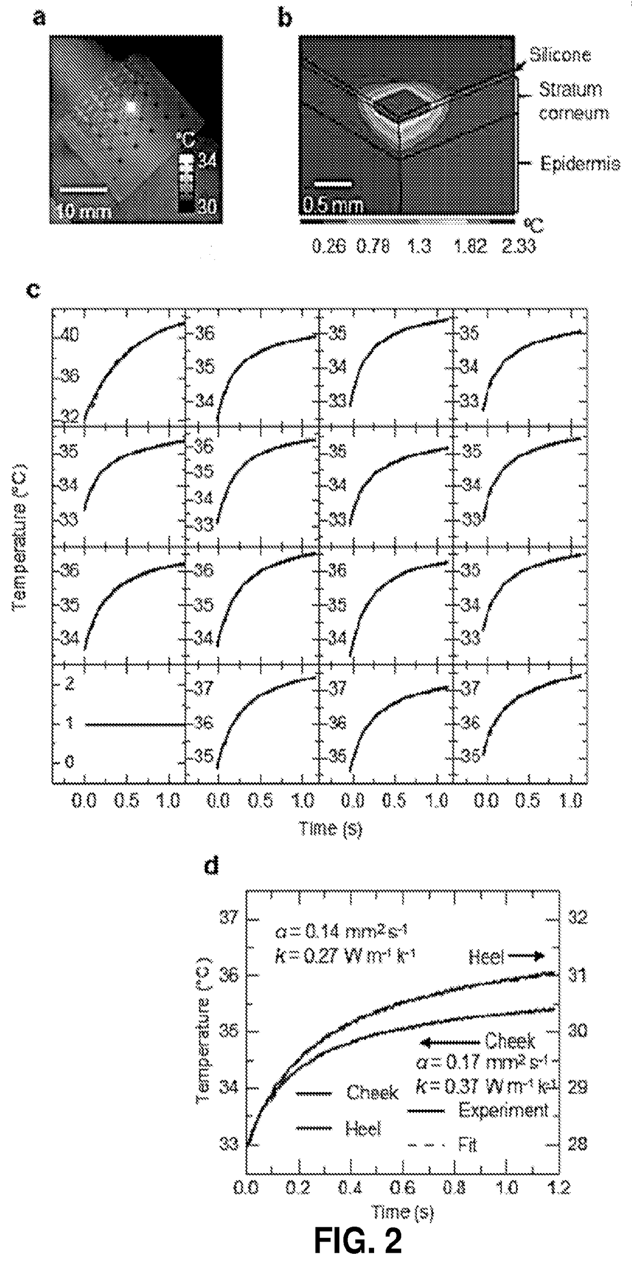 Thermal Transport Characteristics of Human Skin Measured In Vivo Using Thermal Elements