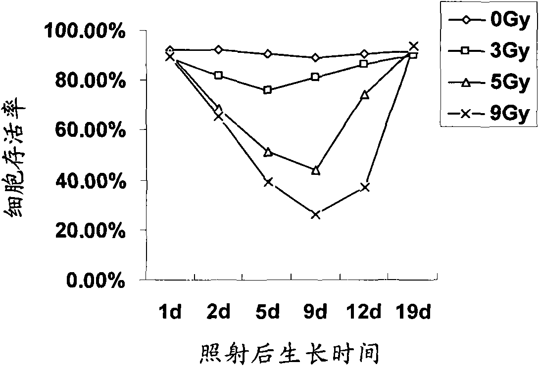 Dendritic cell carried by tumor stem cell antigen and subjected to tolerance screening, preparation method and application thereof, kit and vaccine comprising dendritic cell