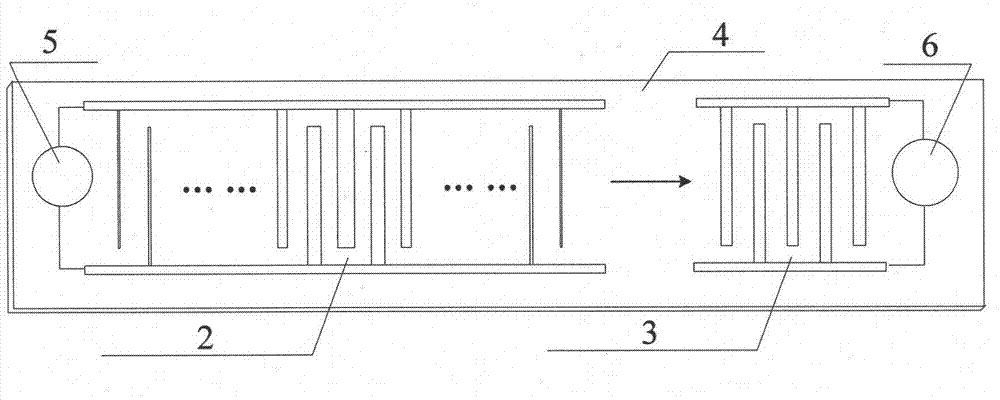 Single-scale surface acoustic wave type wavelet transform processor