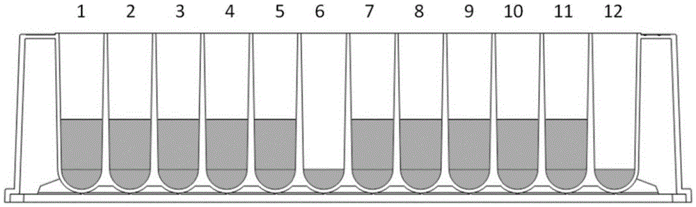 Animal tissue DNA extracting kit based on paramagnetic particle method and application of animal tissue DNA extracting kit