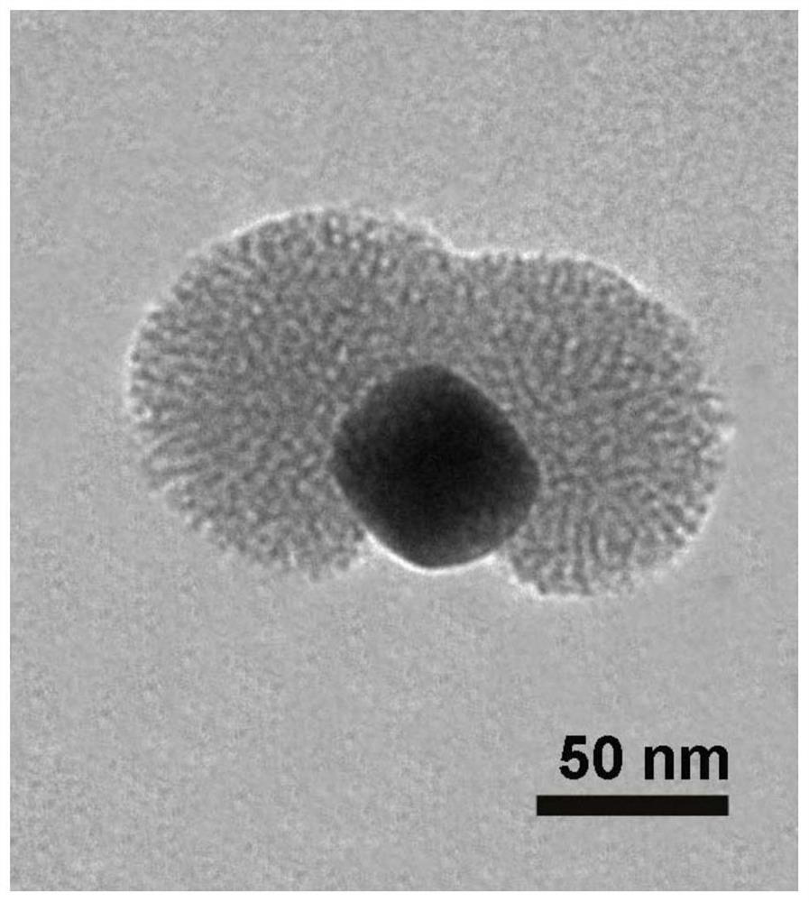 A kind of silver cube/flower-like silica core-shell nanomaterial and its preparation method and application