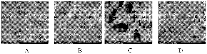 Wood raw material pre-treatment method