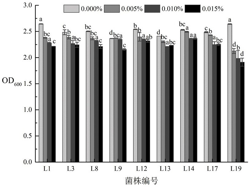 Lactobacillus sakeii strain and application thereof in food processing