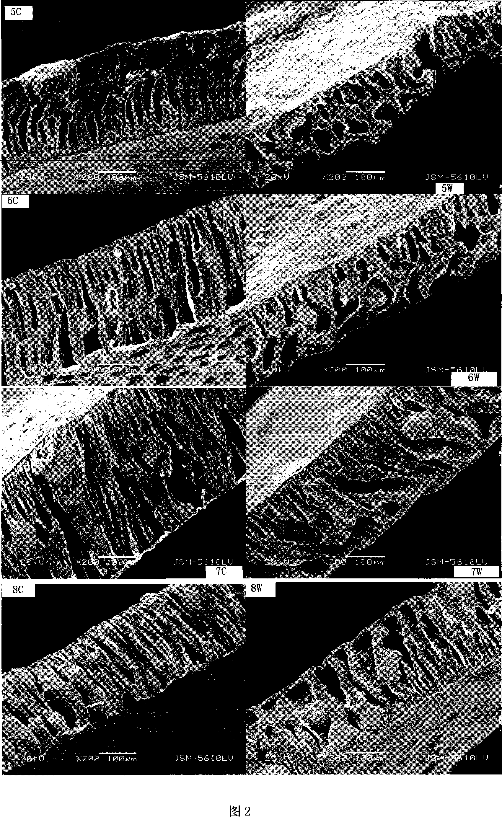 Process of preparing plate porous membrane with high permeating flux