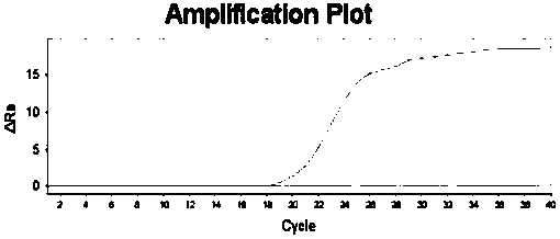 A strain-specific quantitative PCR detection kit and application of transgenic wheat b73‑6‑1