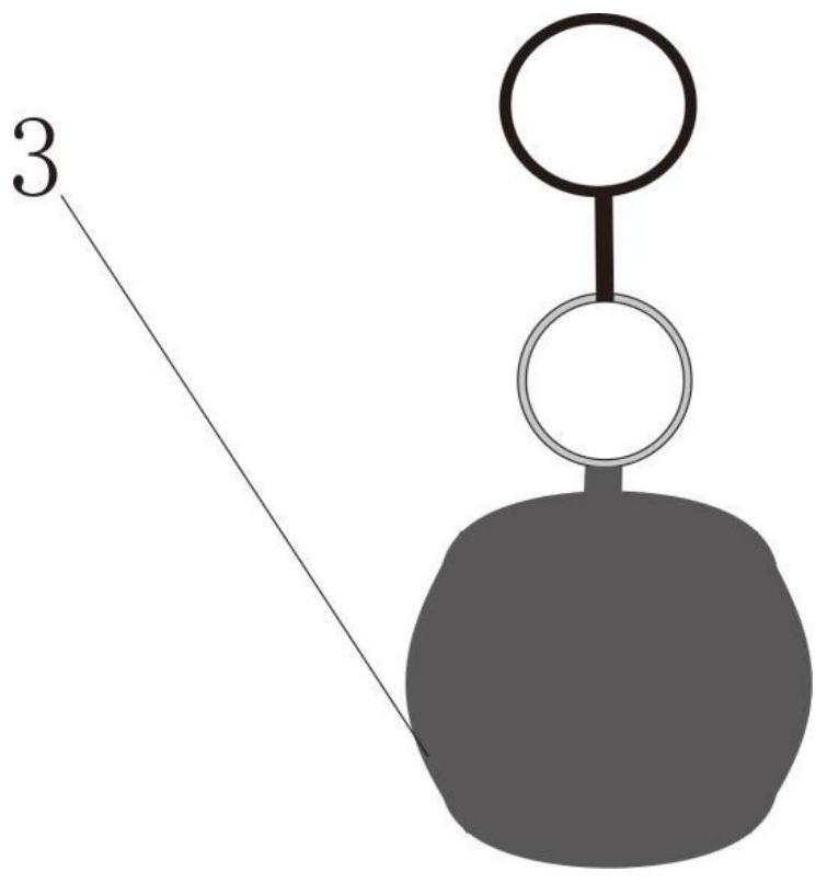 Collecting device for fine-grained silting sediments in modern lake