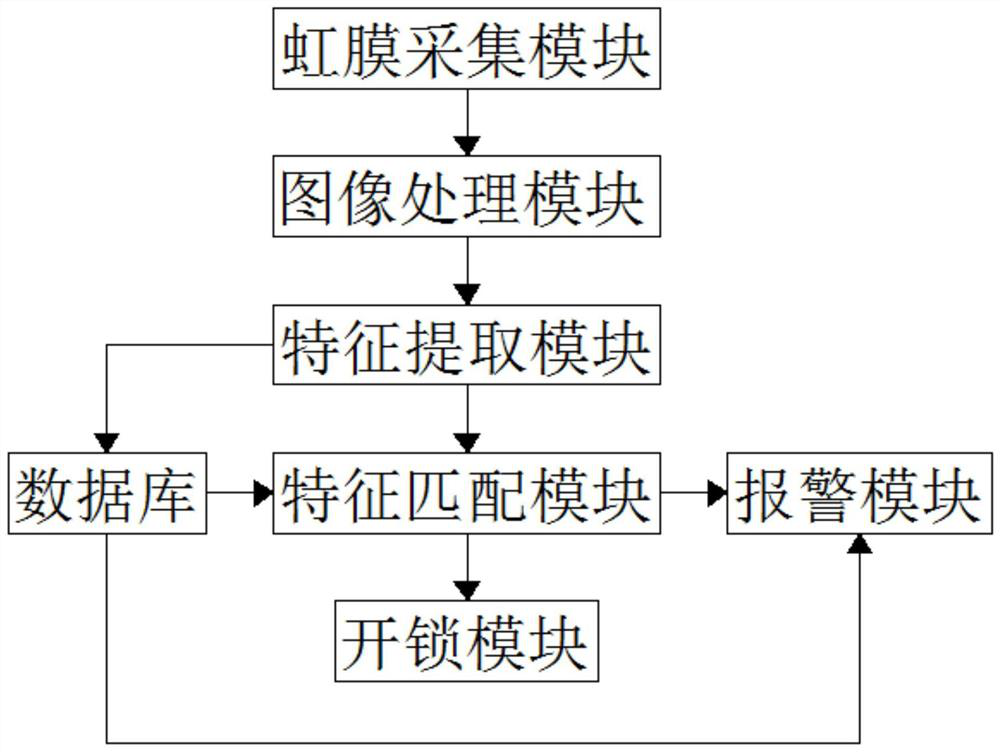 Information safety system based on block chain technology and iris recognition algorithm