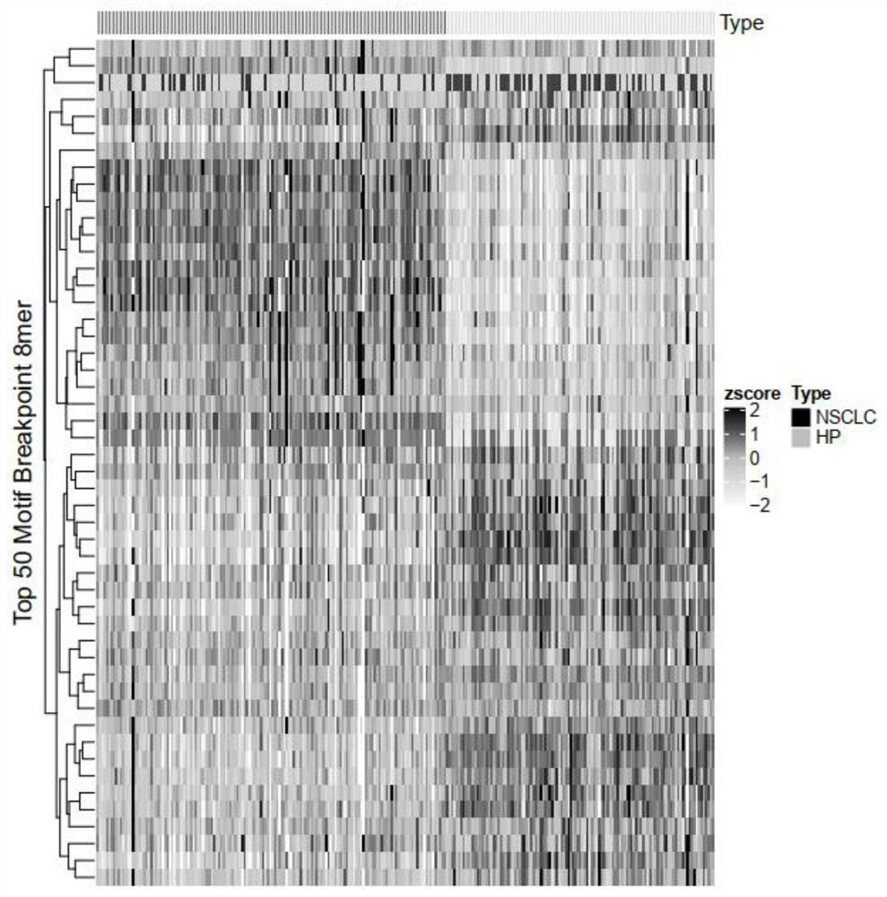 Lung cancer early screening marker, model construction method, detection device and computer readable medium