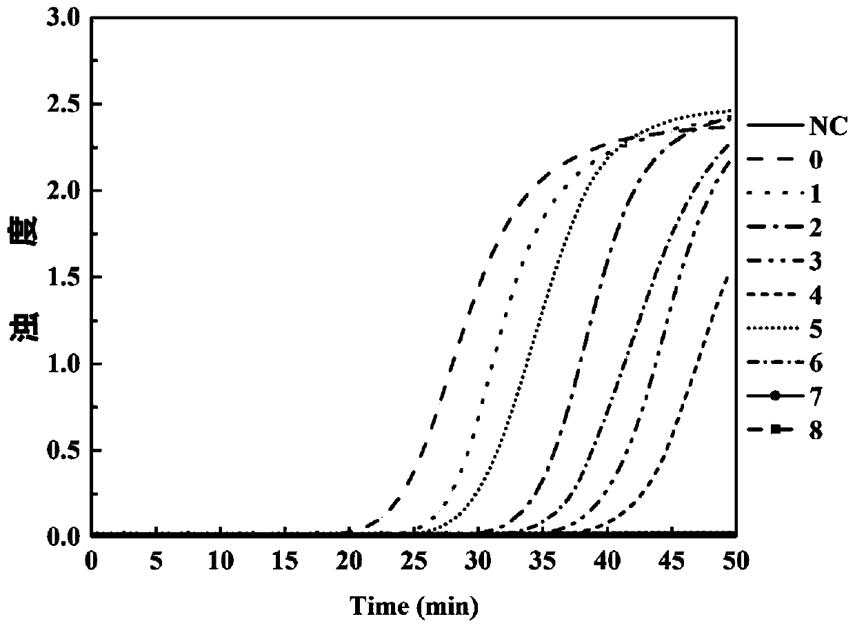 Primer for detecting chaetomium globosum in jet fuel, application and detection method