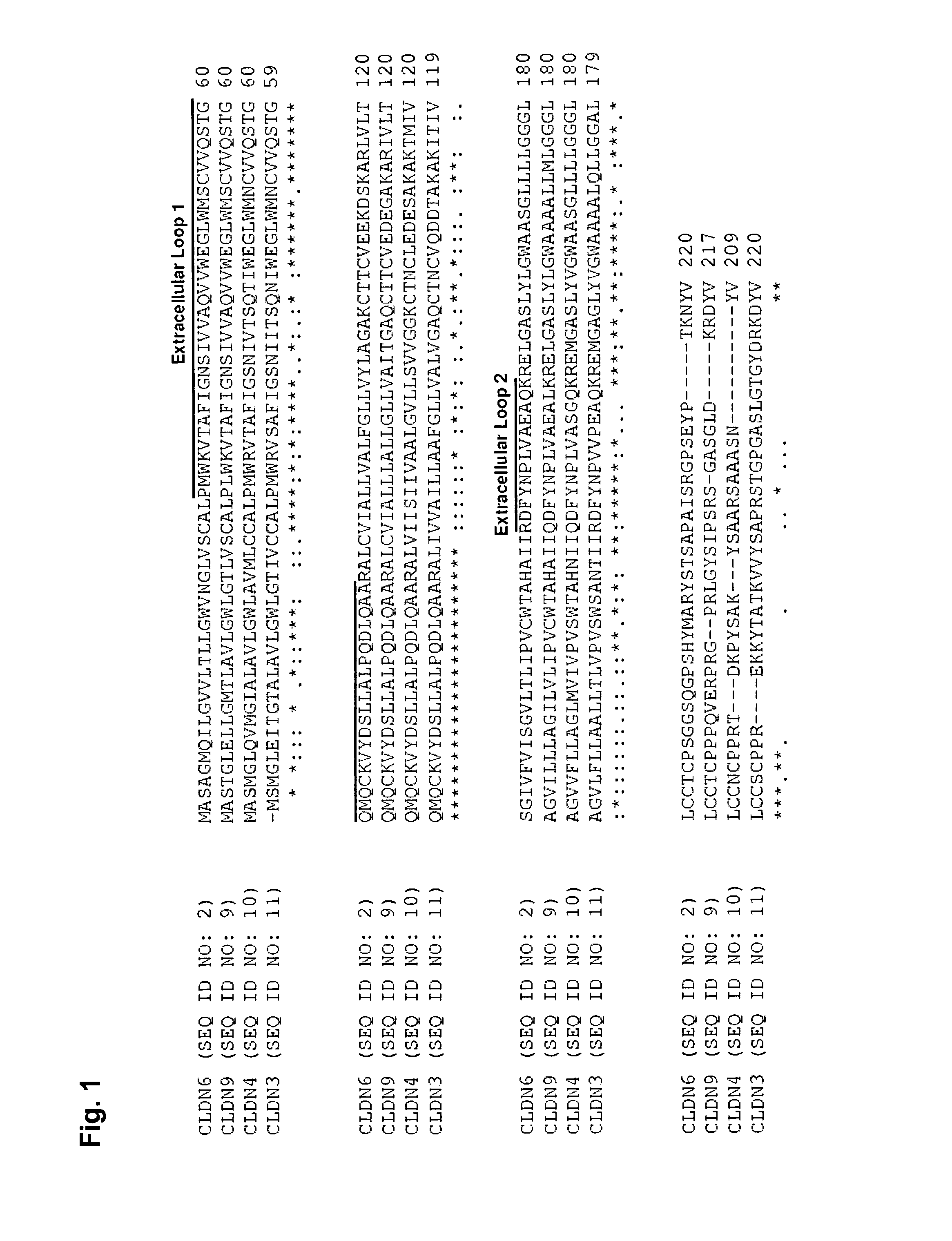 Antibodies for treatment of cancer