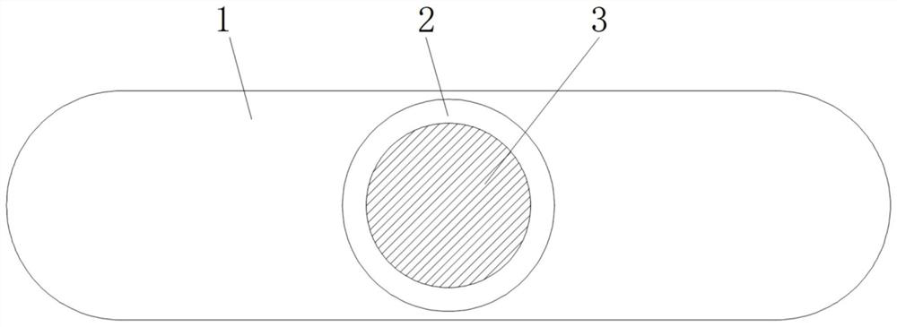 External patch for repairing kidney functions