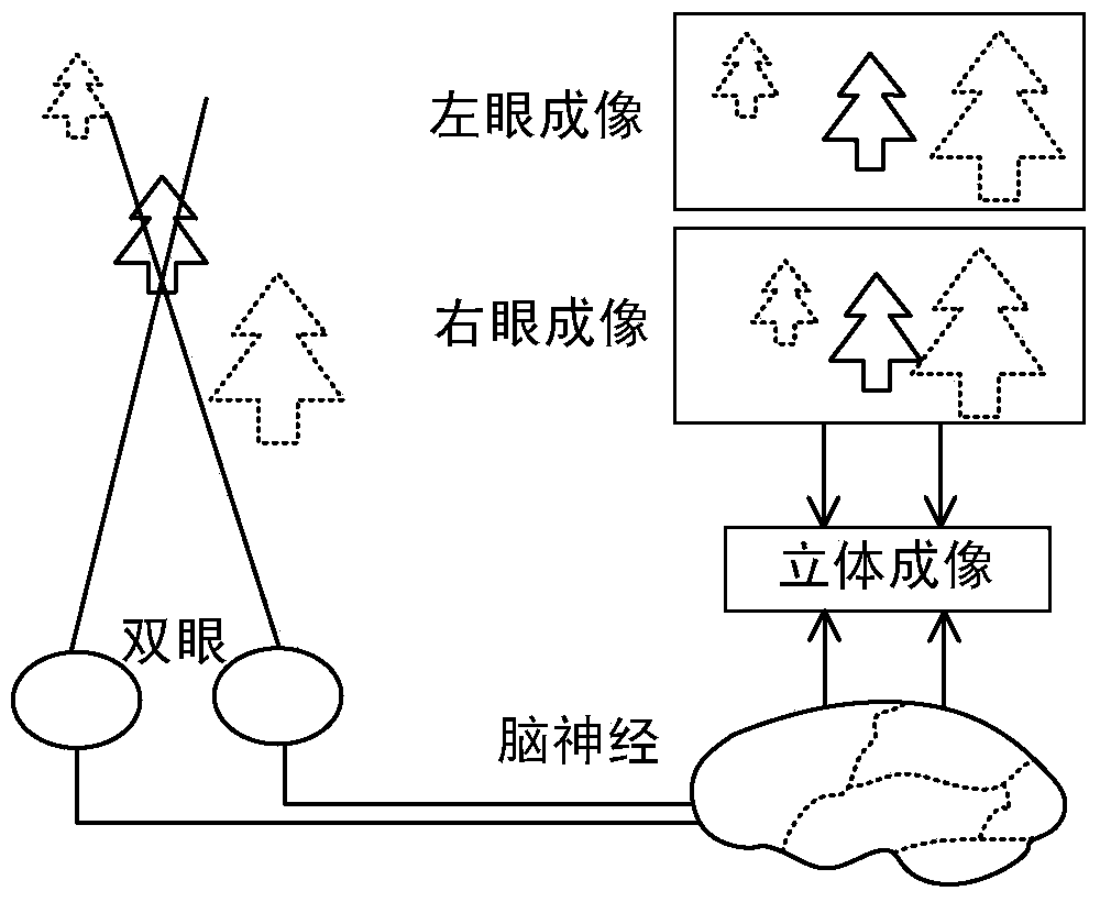 An angiography image acquisition device and method