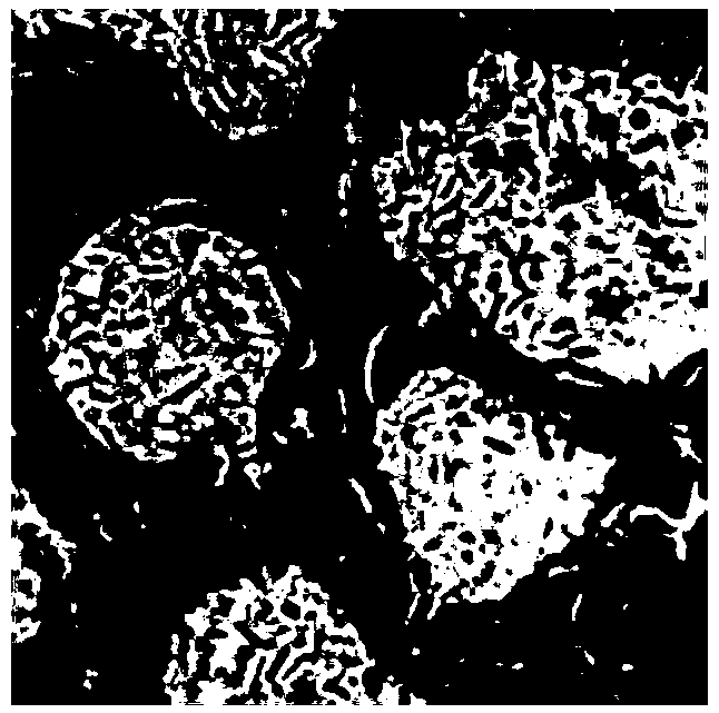 Medicine with effects of producing marrow and strengthening bone for treating alcoholic osteoporosis and preparation method thereof