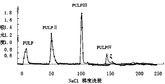 Application of Phyllanthus urinaria polysaccharide in preparation of anti-hepatitis B virus medicines