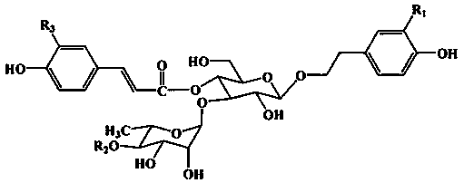 Alpha-amylase inhibitor and extraction method and application thereof