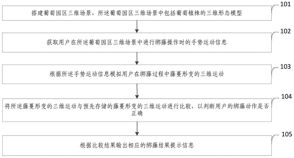 Grape vine binding simulation training system and method