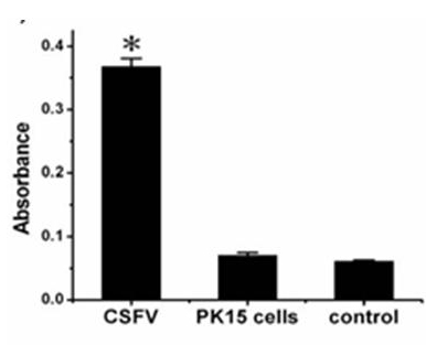 Method for preparing visual gene detection reagent based on G4DNAzyme coloration