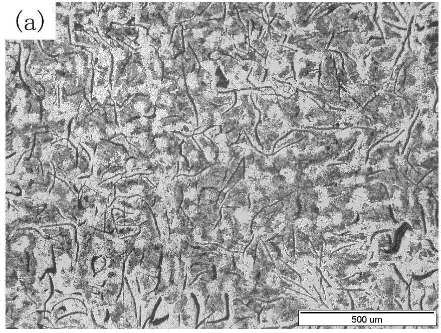 Modificator for changing growth morphology of primary austenite of gray cast irons, preparation method and application thereof