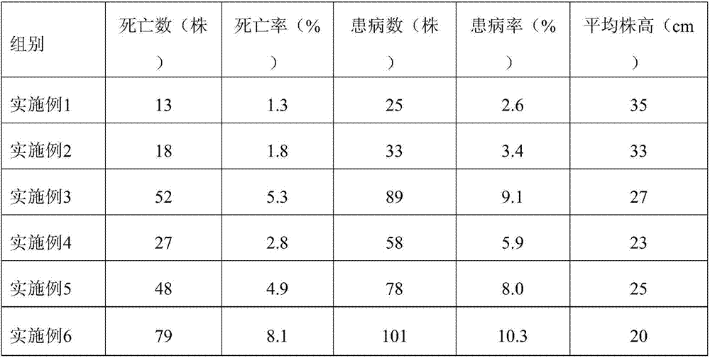 Eggplant seedling culture method