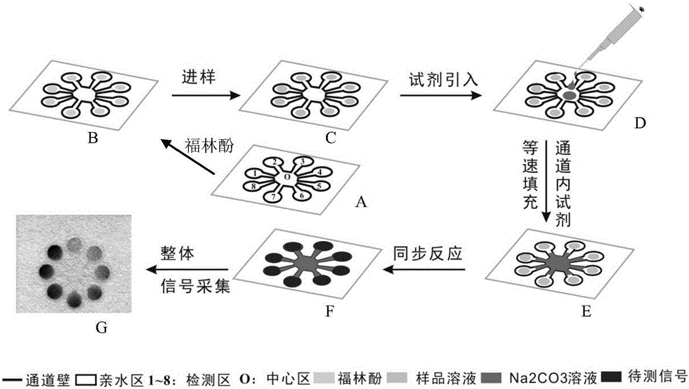 Quick detection method of tea polyphenol contents on basis of micro-fluidic paper chip technology