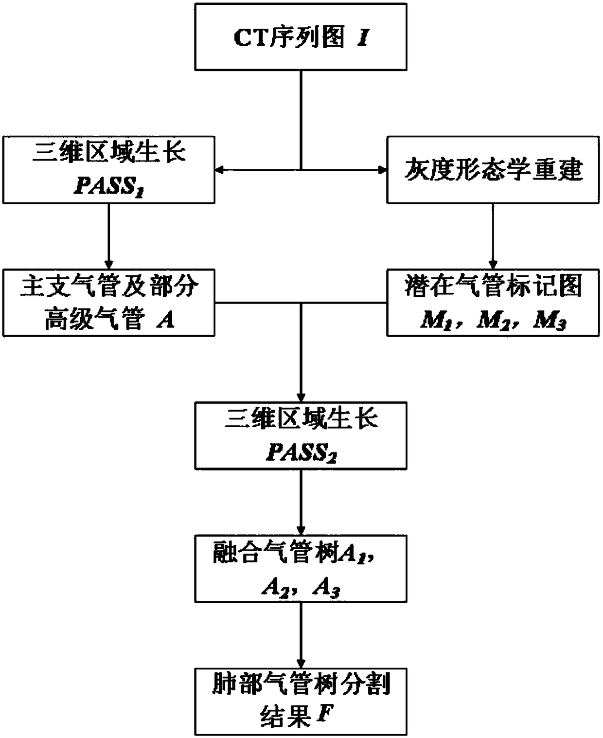 Pulmonary Tracheal Tree Segmentation Method Based on Two-stroke Region Growing Combined with Morphological Reconstruction